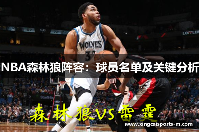 NBA森林狼阵容：球员名单及关键分析