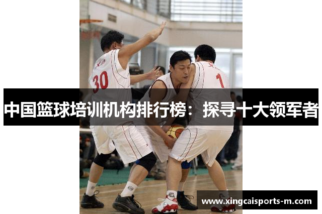 中国篮球培训机构排行榜：探寻十大领军者