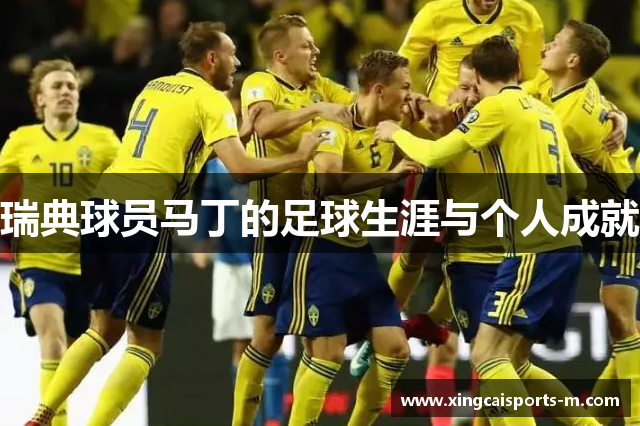 瑞典球员马丁的足球生涯与个人成就