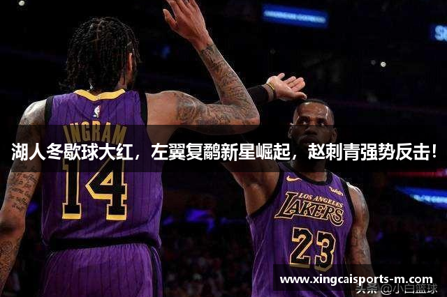 湖人冬歇球大红，左翼复鹬新星崛起，赵刺青强势反击！