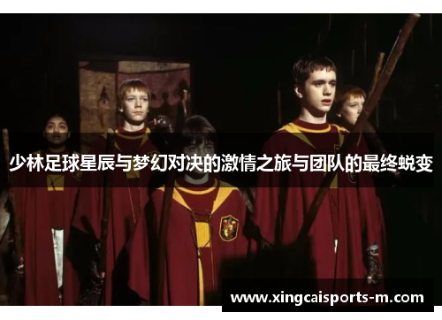 少林足球星辰与梦幻对决的激情之旅与团队的最终蜕变