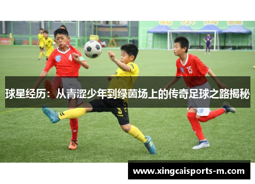 球星经历：从青涩少年到绿茵场上的传奇足球之路揭秘